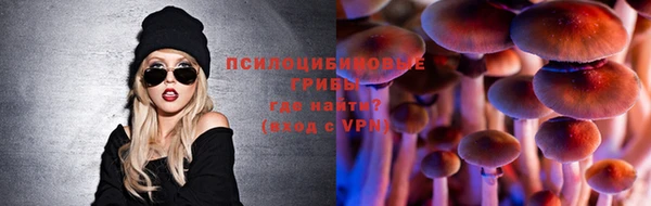 хмурый Алексеевка