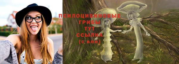крисы Алексин