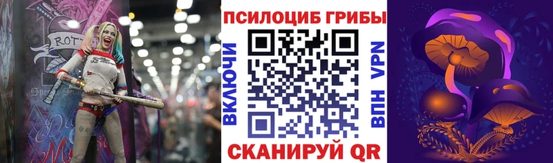 Псилоцибиновые грибы Cubensis  Любим 